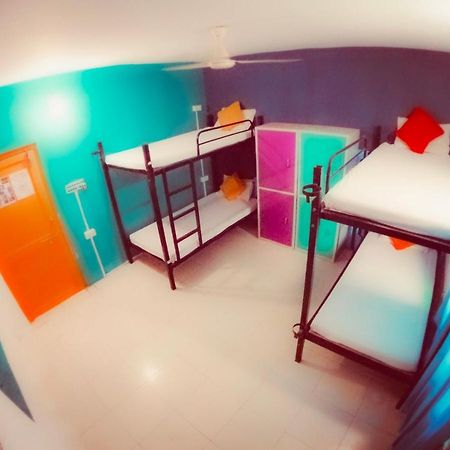 The Hostel Crawl أُودايبور المظهر الخارجي الصورة
