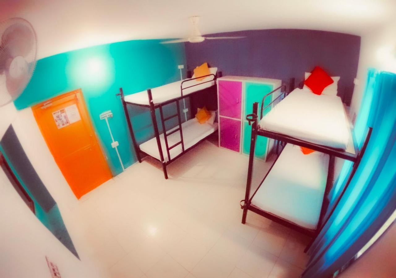 The Hostel Crawl أُودايبور المظهر الخارجي الصورة