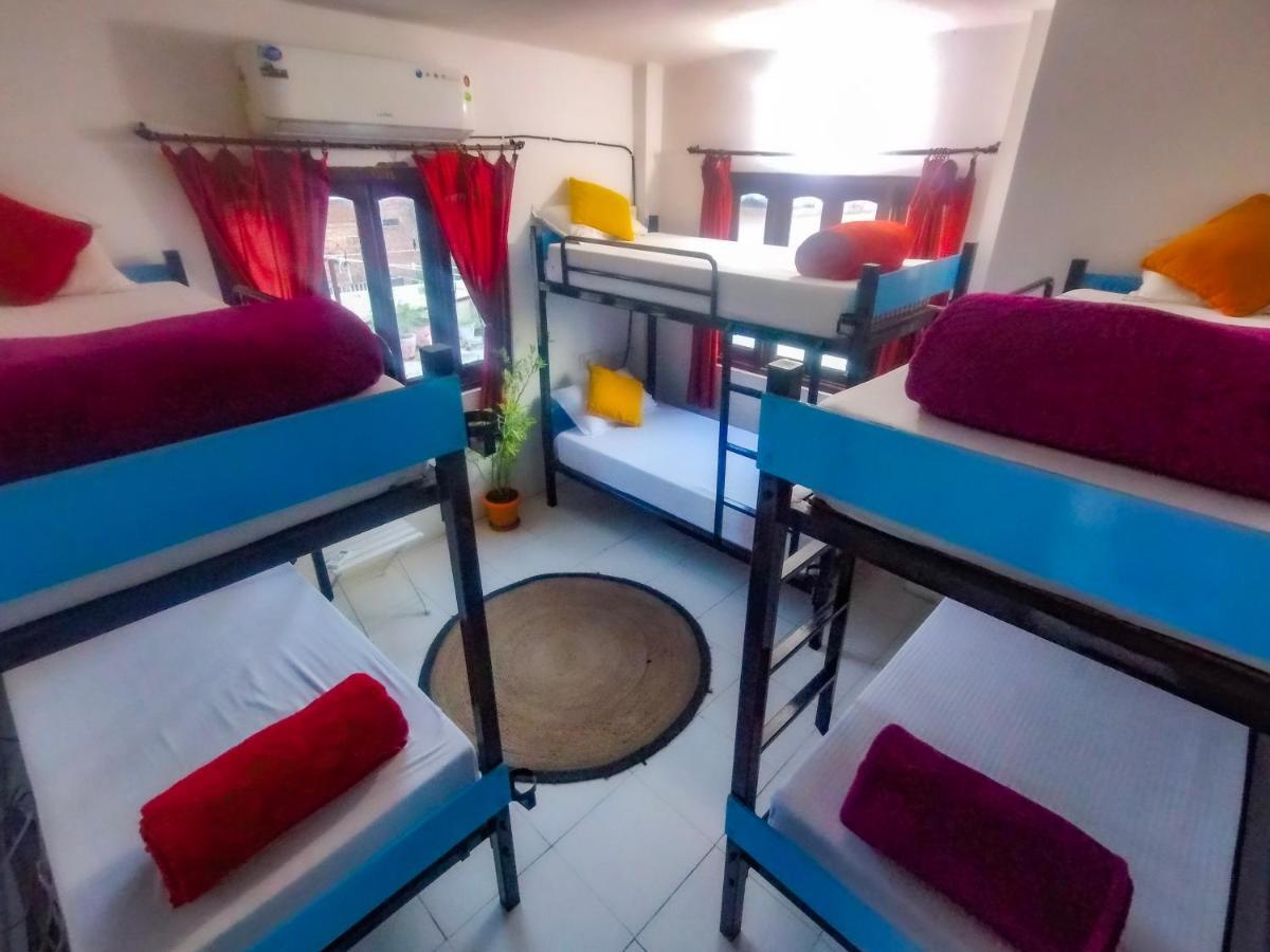 The Hostel Crawl أُودايبور المظهر الخارجي الصورة